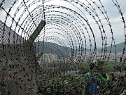 Thumbnail of pic_Amy_Fong_156.JPG