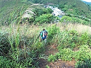 Thumbnail of pic_Billy_Wong_043.jpg