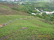 Thumbnail of pic_Wai_110.jpg