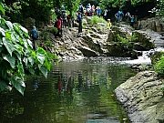 Thumbnail of pic_CW_Leung_034.JPG