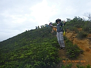 Thumbnail of pic_Wai_105.jpg