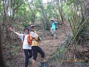 Thumbnail of pic_Wai_121.jpg