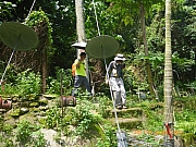 Thumbnail of pic_Wai_124.jpg