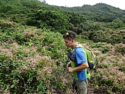 Thumbnail of pic_Billy_Wong_045.JPG
