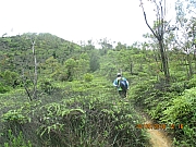 Thumbnail of pic_Eddie_Lui_218.jpg
