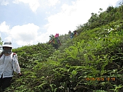 Thumbnail of pic_Eddie_Lui_252.jpg