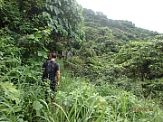 Thumbnail of pic_Thomas_Leung_034.jpg