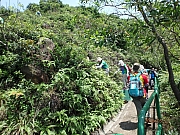 Thumbnail of pic_Thomas_Leung_115.jpg