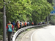 Thumbnail of P5290009.JPG