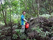 Thumbnail of P5290019.JPG