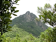 Thumbnail of pic_Victor_Cheng_095.JPG