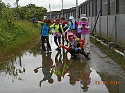 Thumbnail of pic_Sam_Ho_044.jpg