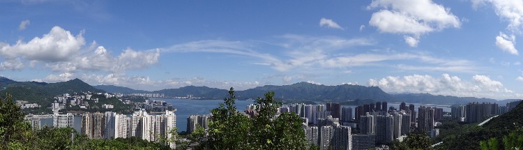 P6190025-1.JPG (2077766 bytes)