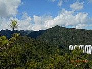 Thumbnail of pic_Sam_Ho_001.jpg