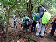 Thumbnail of P7030054.JPG