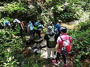 Thumbnail of P7030064.JPG