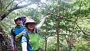 Thumbnail of pic_CL_Yip_054.jpg