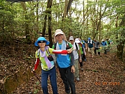 Thumbnail of pic_Sam_Ho_032.jpg