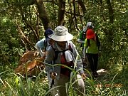 Thumbnail of pic_Sam_Ho_006.jpg