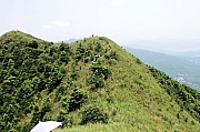 Thumbnail of pic_KL_Sin_075.jpg