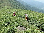 Thumbnail of pic_Thomas_Leung_155.jpg