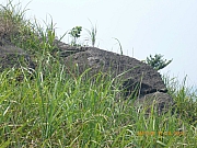 Thumbnail of pic_Wai_093.jpg
