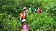 Thumbnail of pic_Billy_Lau_141.jpg
