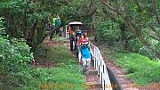 Thumbnail of pic_Billy_Lau_158.jpg