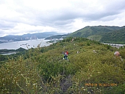 Thumbnail of pic_Wai_176.jpg