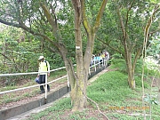 Thumbnail of pic_Wai_198.jpg