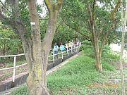 Thumbnail of pic_Wai_199.jpg
