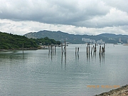 Thumbnail of pic_Wai_208.jpg