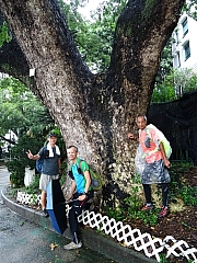 Thumbnail of P8210002.JPG