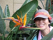 Thumbnail of pic_Thomas_Leung_064.jpg