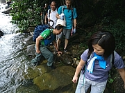 Thumbnail of P8280069.JPG