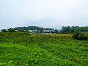 Thumbnail of pic_Wai_160.jpg