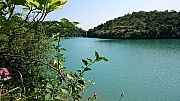 Thumbnail of pic_Billy_Lau_009.jpg