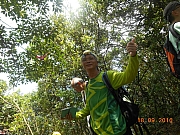 Thumbnail of pic_Sam_Ho_046.JPG
