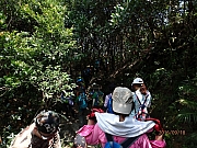 Thumbnail of pic_Thomas_Leung_129.jpg