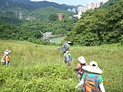 Thumbnail of pic_Wai_093.jpg