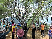 Thumbnail of pic_Amy_Fong_036.JPG