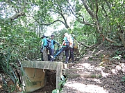 Thumbnail of pic_Amy_Fong_060.JPG
