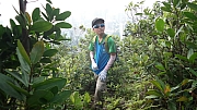 Thumbnail of pic_KC_Leung_029.jpg