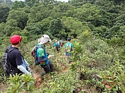 Thumbnail of pic_Thomas_Leung_067.jpg