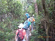 Thumbnail of pic_Wai_054.jpg