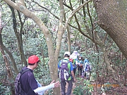 Thumbnail of pic_Wai_075.jpg