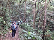 Thumbnail of pic_Thomas_Leung_087.jpg