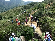 Thumbnail of pic_Thomas_Leung_074.jpg