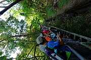 Thumbnail of pic_KL_Sin_001.jpg