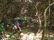 Thumbnail of pic_Wai_156.jpg